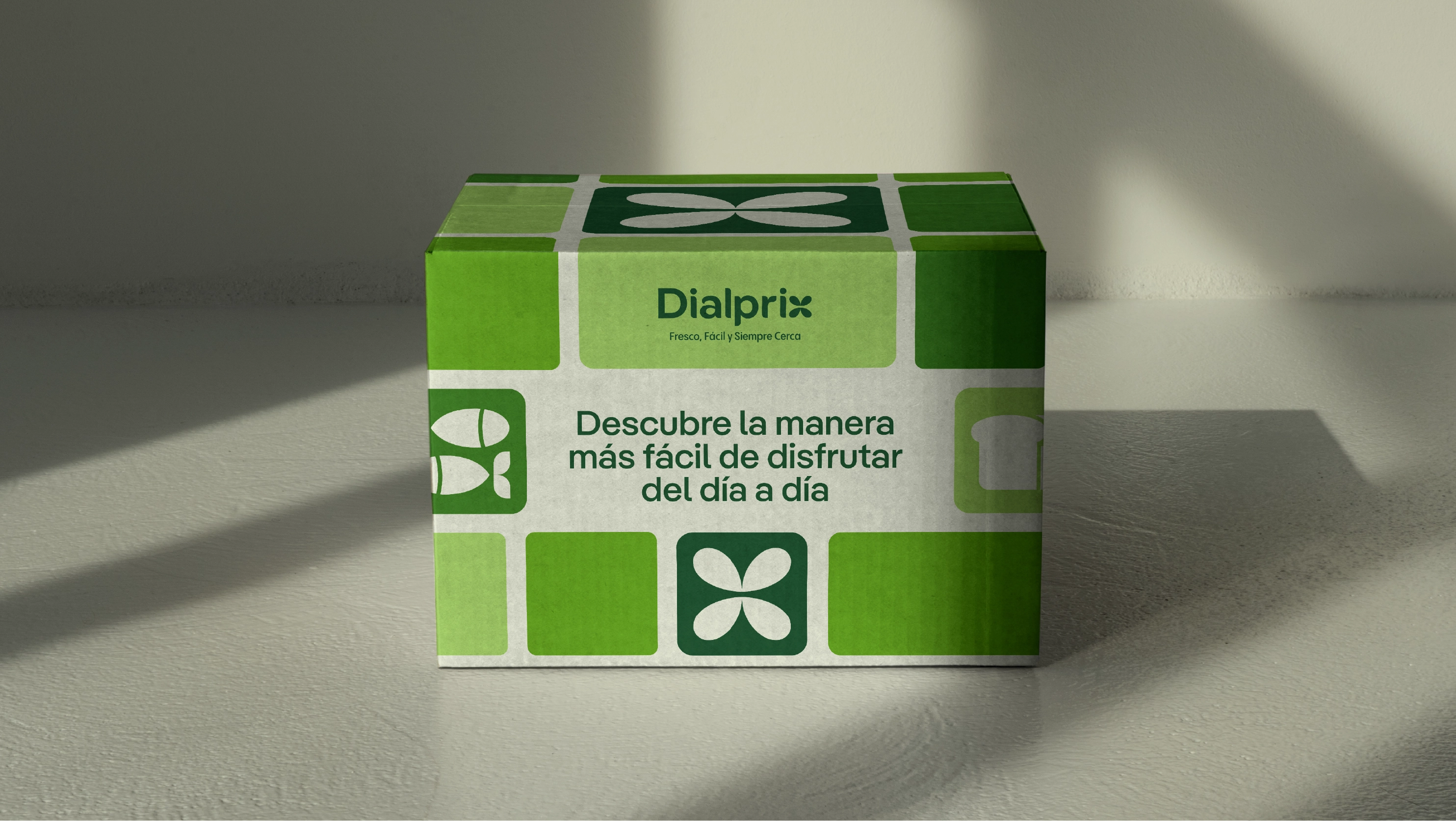 250514_BrandFor_Dialprix_Case Study-15