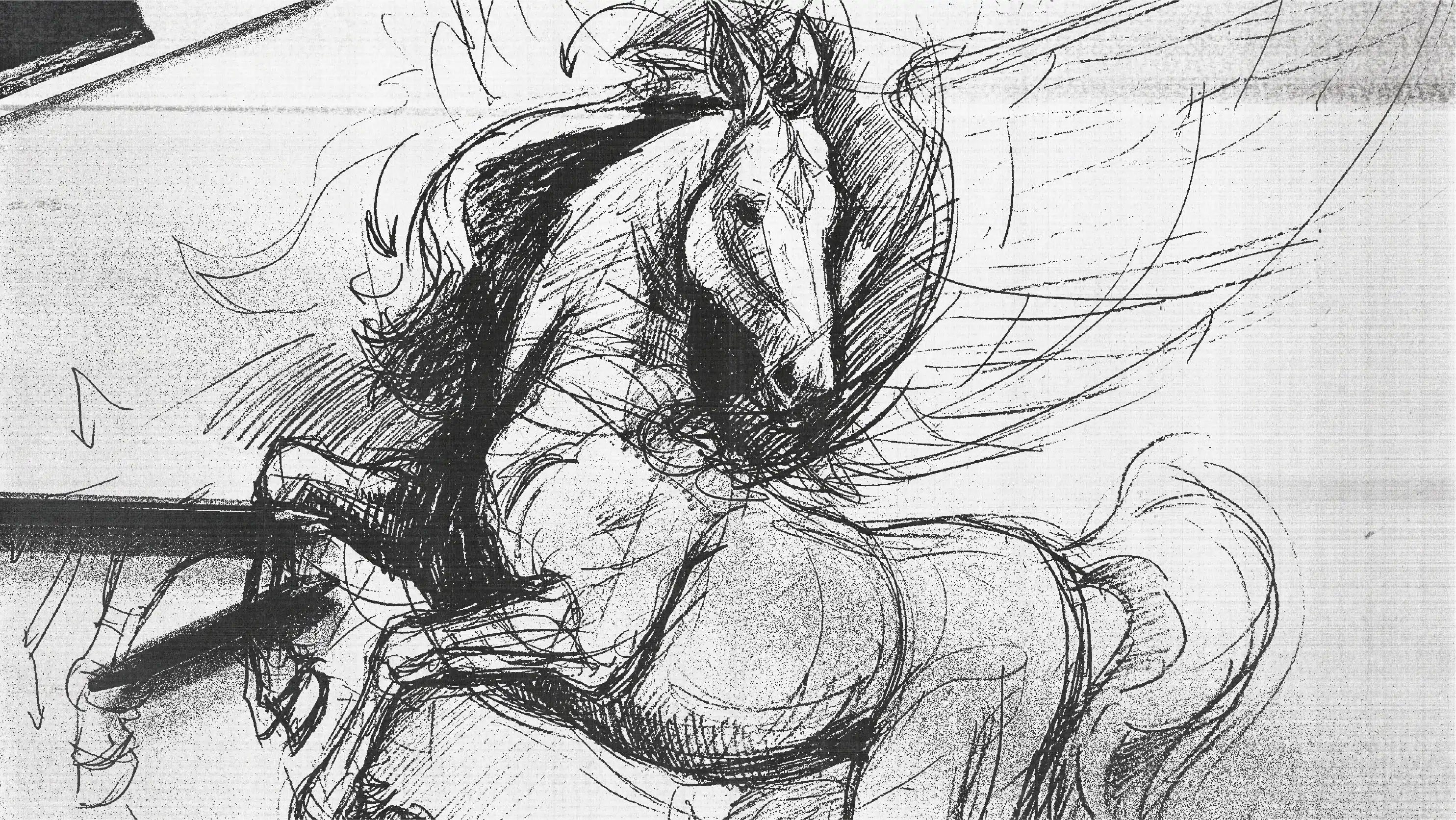 El Confidencial_Pegaso_BrandFor